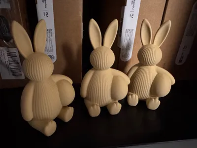https://makerworld.bblmw.com/makerworld/comment/20260226/3042905941/472b2089e6f8ec8f.jpg