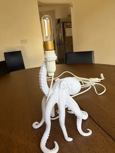 https://makerworld.bblmw.com/makerworld/comment/20260226/3057422675/15f6bf2ecf2c591f.jpg