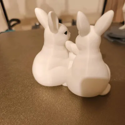 https://makerworld.bblmw.com/makerworld/comment/20260226/3077499761/fb5054a60f0d47d9.jpg