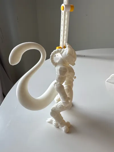 https://makerworld.bblmw.com/makerworld/comment/20260226/3295407417/73245865e5b105ed.jpg