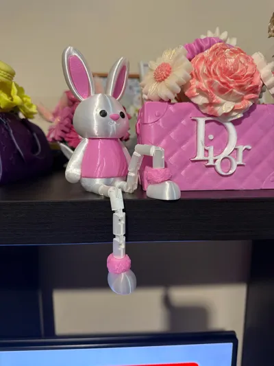 https://makerworld.bblmw.com/makerworld/comment/20260226/385080515/f013eb7aad6a1a8f.jpg