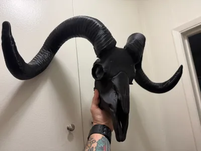 https://makerworld.bblmw.com/makerworld/comment/20260226/487603768/36d56861d30c33ee.jpg