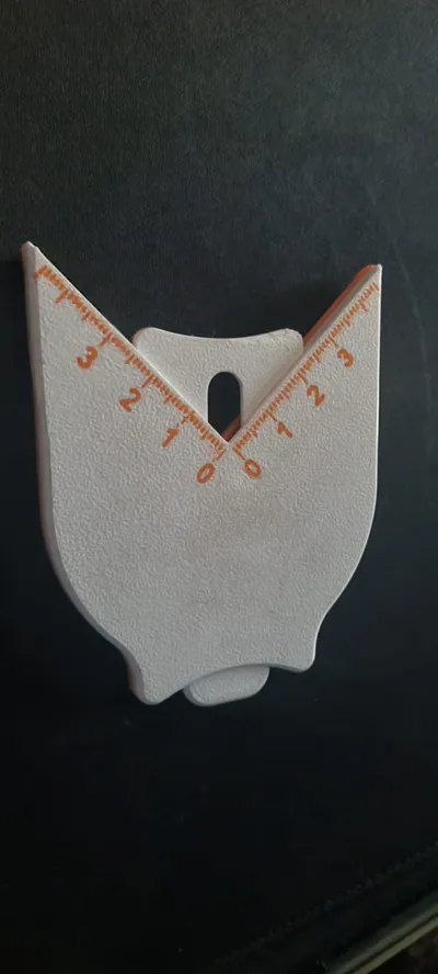 https://makerworld.bblmw.com/makerworld/comment/20260226/694616963/e2e2e6130daf5ca5.jpeg