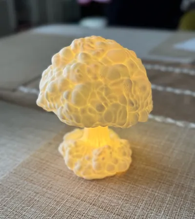 https://makerworld.bblmw.com/makerworld/comment/20260226/82272415/d697405c2e143c18.jpg