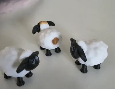 https://makerworld.bblmw.com/makerworld/comment/20260226/920426599/2893b4af9d74ef51.jpg