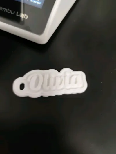 https://makerworld.bblmw.com/makerworld/comment/20260227/1847014215/0da9b301d1e9a26a.jpg