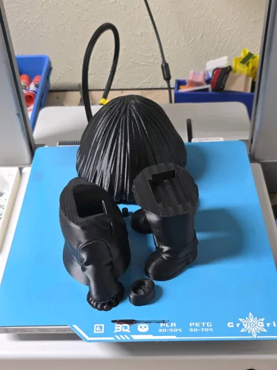 https://makerworld.bblmw.com/makerworld/comment/20260227/2038729757/93dd93e77404b271.jpg
