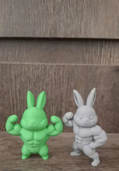 https://makerworld.bblmw.com/makerworld/comment/20260227/2087153200/fbdb1f85e70f31d3.jpg