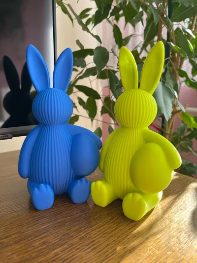 https://makerworld.bblmw.com/makerworld/comment/20260227/2432240550/765555bace315958.jpg
