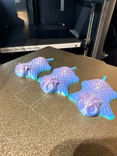 https://makerworld.bblmw.com/makerworld/comment/20260227/2665145718/8f63c4e0985a053b.jpg
