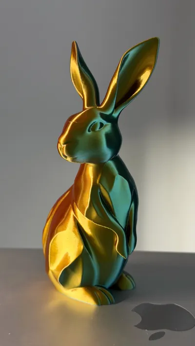 https://makerworld.bblmw.com/makerworld/comment/20260227/276048955/9427fed0d8b0c376.jpg