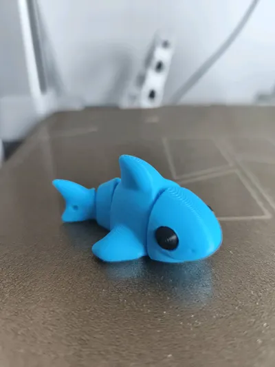 https://makerworld.bblmw.com/makerworld/comment/20260227/3226629014/16f731f10d87a3fc.jpg