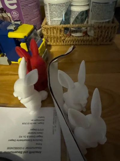 https://makerworld.bblmw.com/makerworld/comment/20260227/3337348273/7a674d026735035a.jpg