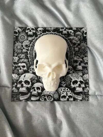 https://makerworld.bblmw.com/makerworld/comment/20260227/3409760973/69e76d88c60f7428.jpg