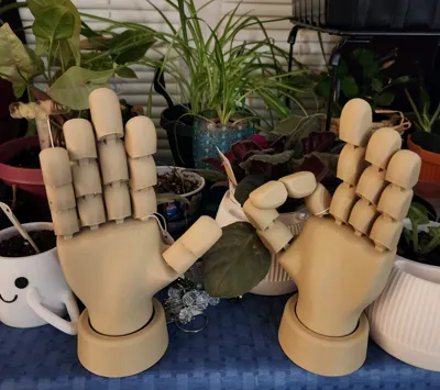 https://makerworld.bblmw.com/makerworld/comment/20260227/3725915119/9d3bf83fdfa514fe.jpg
