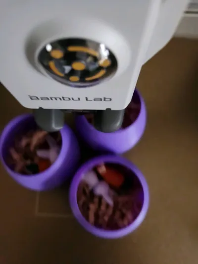 https://makerworld.bblmw.com/makerworld/comment/20260227/3725915119/c869b3dc59f9510b.jpg