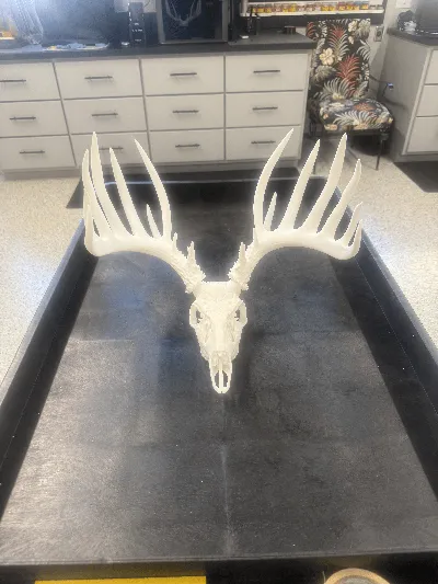https://makerworld.bblmw.com/makerworld/comment/20260227/398696930/cf9810b473c2743f.png