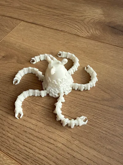 https://makerworld.bblmw.com/makerworld/comment/20260227/3990238825/1b7577c8511c9c75.jpg