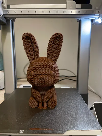 https://makerworld.bblmw.com/makerworld/comment/20260227/4236171142/eb59adbb54363742.jpg