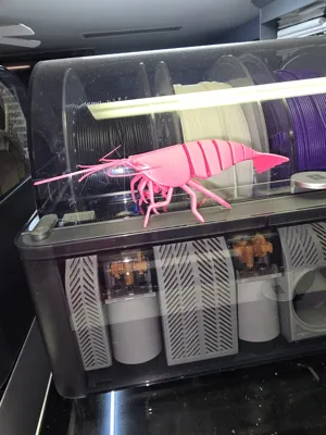 https://makerworld.bblmw.com/makerworld/comment/20260227/678334123/2a95120dc9bedfa0.jpg