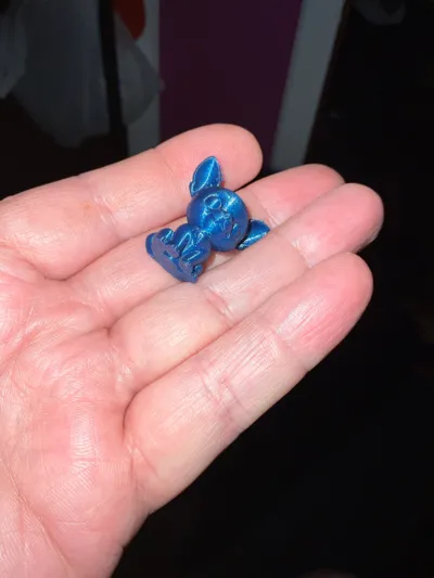 https://makerworld.bblmw.com/makerworld/comment/20260227/809969551/daace03ee9d20981.jpg
