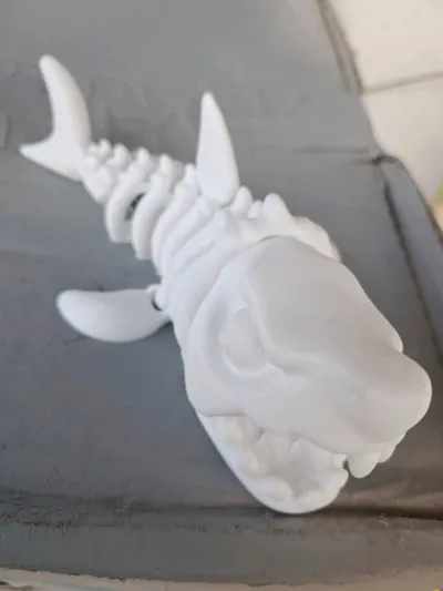 https://makerworld.bblmw.com/makerworld/comment/20260227/864951891/d8fc2bd0a7ceaa9f.jpg