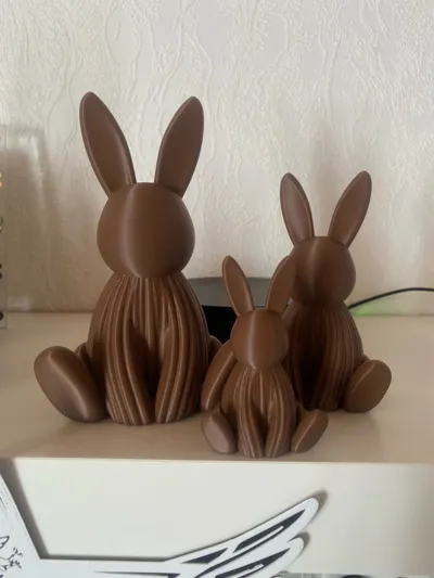 https://makerworld.bblmw.com/makerworld/comment/20260227/918822016/6a0e8ab8ec3b4c76.jpg