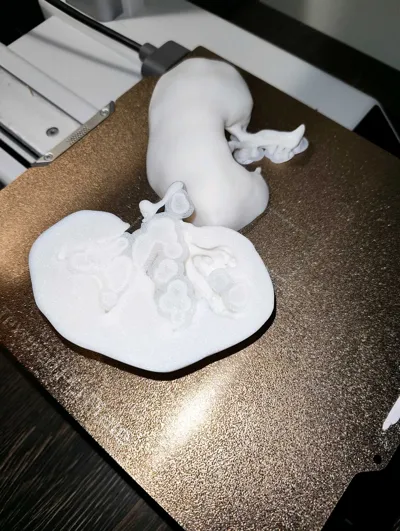 https://makerworld.bblmw.com/makerworld/comment/20260228/115996072/f7ba09d90e1cb29a.jpg