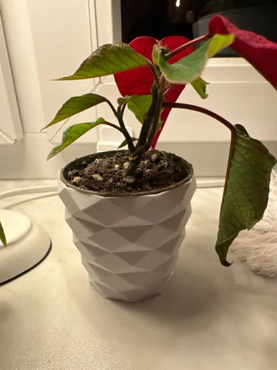 https://makerworld.bblmw.com/makerworld/comment/20260228/1184076012/d8054e65aa90d611.jpg