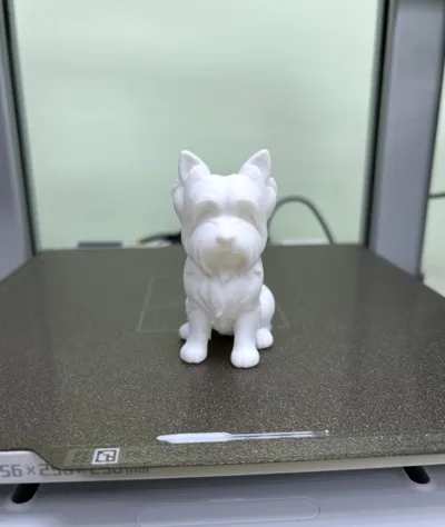 https://makerworld.bblmw.com/makerworld/comment/20260228/1236418920/2a2c6c0c3b116699.jpg