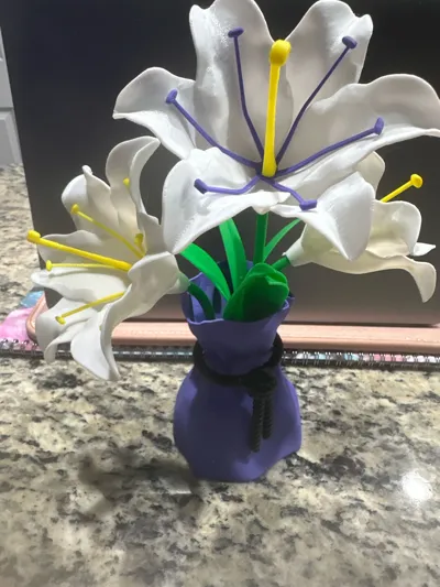 https://makerworld.bblmw.com/makerworld/comment/20260228/1620198501/f041869b191f3b59.jpg