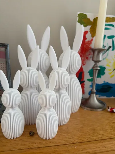 https://makerworld.bblmw.com/makerworld/comment/20260228/2014517517/93b56a312c4a5bc4.jpg