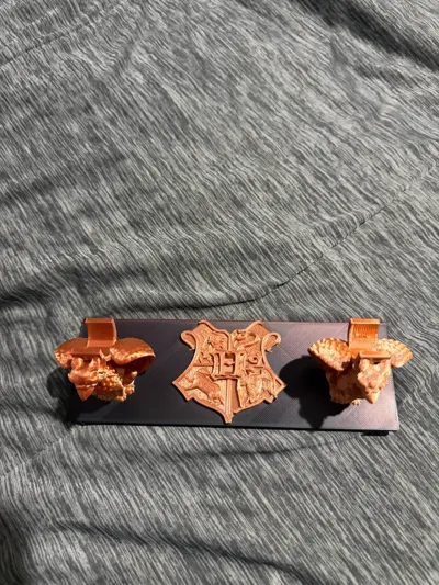 https://makerworld.bblmw.com/makerworld/comment/20260228/2122945439/45d40947db78e16f.jpg