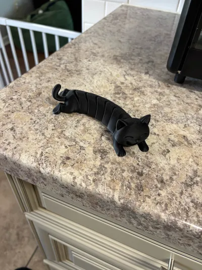 https://makerworld.bblmw.com/makerworld/comment/20260228/2172231256/8ab0a015aeef687d.jpg