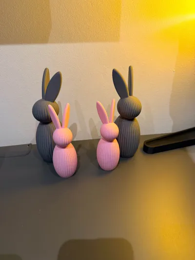 https://makerworld.bblmw.com/makerworld/comment/20260228/2281401573/8fc8a518c0d2271a.jpg