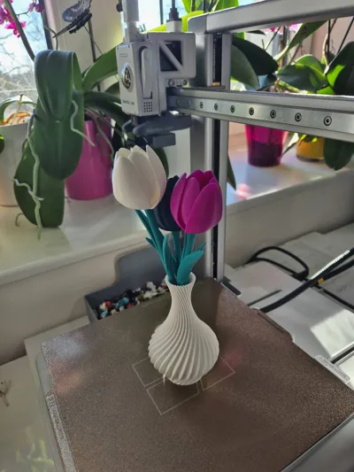 https://makerworld.bblmw.com/makerworld/comment/20260228/2666811872/e60b0cd05a490af1.jpg