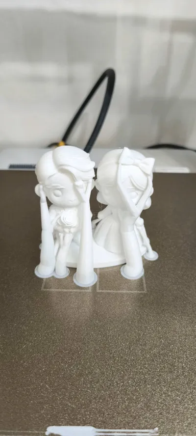 https://makerworld.bblmw.com/makerworld/comment/20260228/2724656542/7dc963acc2a10b0b.jpg