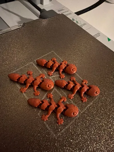 https://makerworld.bblmw.com/makerworld/comment/20260228/2819782851/3d866531c2d4aa26.jpg