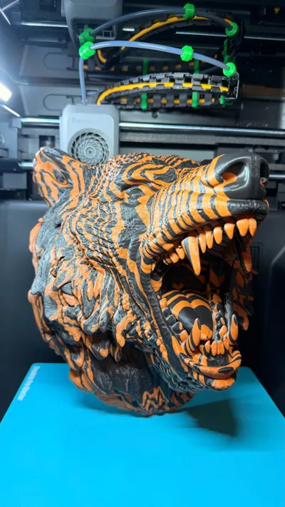 https://makerworld.bblmw.com/makerworld/comment/20260228/3368460526/34c5b93041ddd201.jpg
