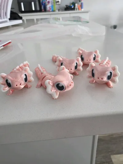 https://makerworld.bblmw.com/makerworld/comment/20260228/3558855597/f820092bfe2213c8.jpg