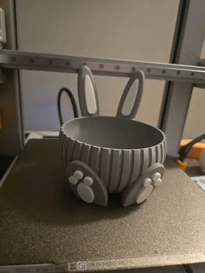 https://makerworld.bblmw.com/makerworld/comment/20260228/3813273581/db1c51ea4dc7b040.jpg