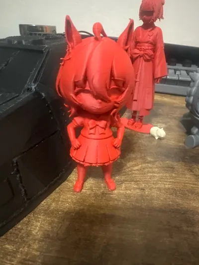 https://makerworld.bblmw.com/makerworld/comment/20260228/3898065836/681f885ec76d1dc6.jpg