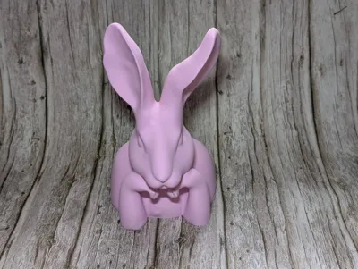 https://makerworld.bblmw.com/makerworld/comment/20260228/3993124175/6b7fa763e91ae3b5.jpg