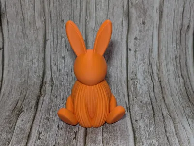 https://makerworld.bblmw.com/makerworld/comment/20260228/3993124175/7e3be676267fdfc7.jpg