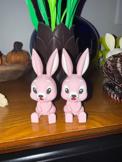 https://makerworld.bblmw.com/makerworld/comment/20260228/4005735705/15299b77cf1efc62.jpg
