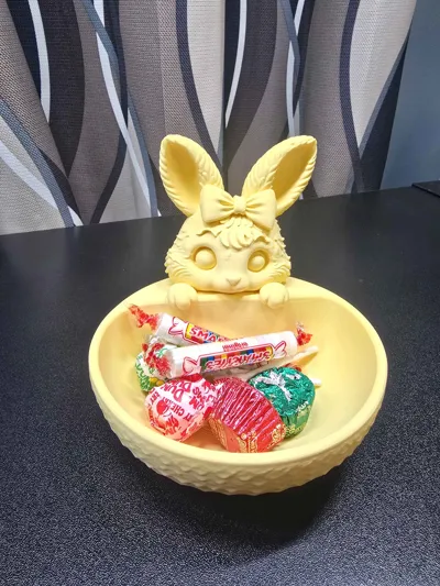 https://makerworld.bblmw.com/makerworld/comment/20260228/4090522177/e0eff5c50074d877.jpg