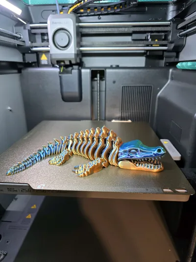 https://makerworld.bblmw.com/makerworld/comment/20260228/4096031726/ededcf8abcf2318f.jpg
