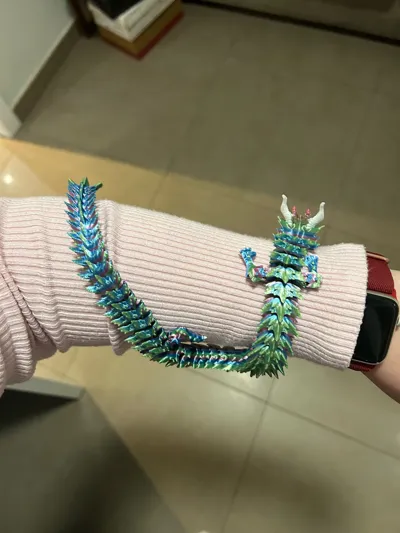https://makerworld.bblmw.com/makerworld/comment/20260228/643659883/6e120d35cb6c5e6e.jpg