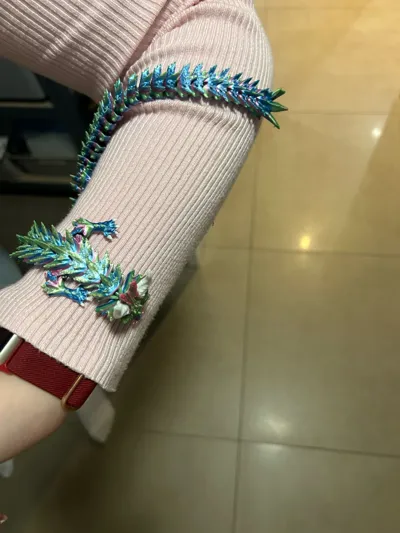 https://makerworld.bblmw.com/makerworld/comment/20260228/643659883/be441fb90b92a191.jpg