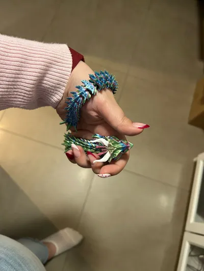 https://makerworld.bblmw.com/makerworld/comment/20260228/643659883/e437da250a921e2f.jpg